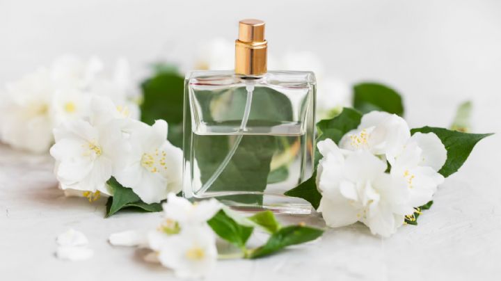 Conoce los 3 perfumes inspirados en marcas de lujo que puedes comprar en Mercadona
