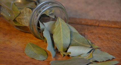 Feng Shui: ¿Dónde colocar las hojas de laurel con clavos de olor para atraer abundancia?