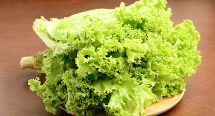 Los mejores trucos caseros para conservar la lechuga dentro de la nevera sin que se oxide