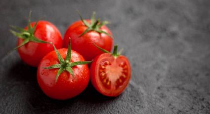 ¿Cómo se siembran las semillas de tomate?, guía paso a paso para lograrlo en el huerto