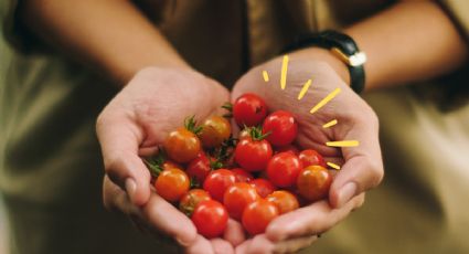 Huerto en casa: Una pizca de este abono barato para que tus tomates crezcan rápido