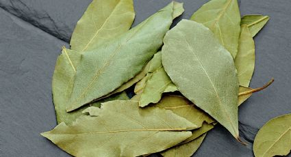 La razón por la que debes poner una hoja de laurel en tu calcetín si tienes más de 30 años