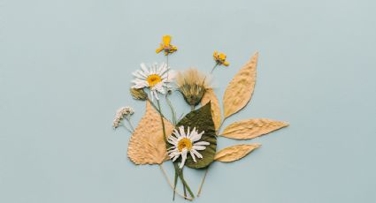 Manualidad con reciclados: Decora tu habitación con flores secas colgantes