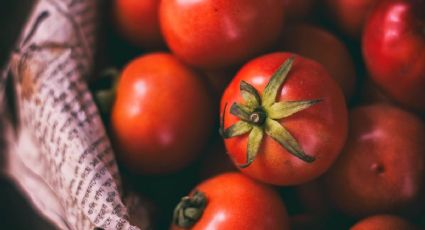 Huerto en casa: Esta es la mejor forma de cultivar semillas de tomate en bidones de agua