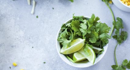 ¿Cuál es la diferencia entre cilantro y perejil? 3 formas para distinguirlos como un experto