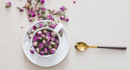 Guía infalible para identificar cuáles son las flores comestibles y cómo prepararlas para tus recetas