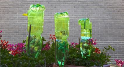 No volverás a regar tus plantas con este método de riego automático hecho con botellas plásticas