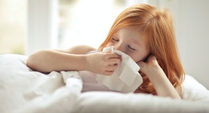 ¿Te sientes congestionado? Elabora un aceite esencial de romero que te hará sentir mejor