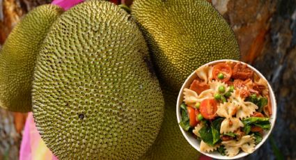 ¿Qué es el jackfruit? Aprende a prepara la pasta vegana con esta fruta exótica