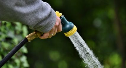 ¿Quieres ahorrar agua en tu jardín? Esta es la guía completa para lograrlo