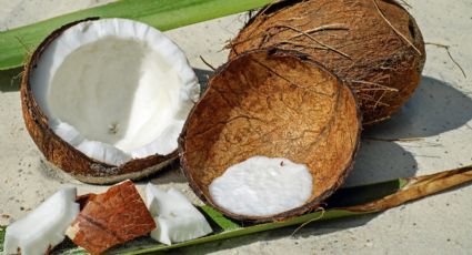 Aprende la técnica básica para abrir un coco y usarlo para hacer 3 recetas básicas