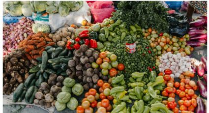 Aprovecha los desperdicios de vegetales y frutas para hacer el mejor abono orgánico para plantas