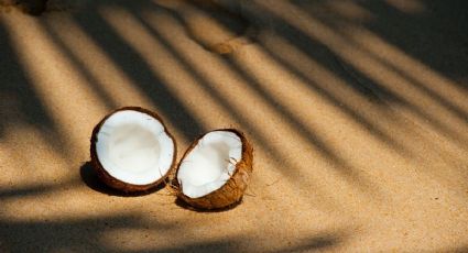 Bebida refrescante: Prepara una rica agua de coco súper cremosa y dile adiós al calor