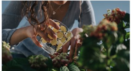 ¿Tus plantas están secas o enfermas? La legumbre que será el mejor abono orgánico para tu jardín