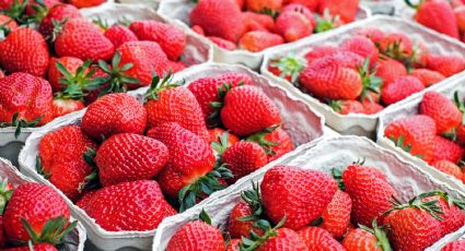 Descubre los síntomas de intoxicación por fresas contaminadas y cómo desinfectar las correctamente