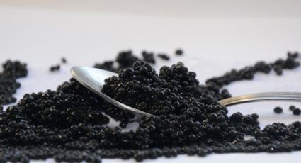 Receta vegana: Disfruta de un caviar casero usando 3 ingredientes