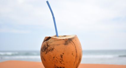 ¿Qué pasa si bebo agua de coco en ayunas? Estos son los grandes beneficios de esta agua natural