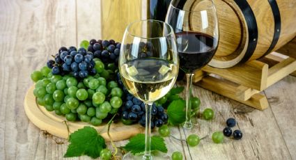 ¿Cómo agarrar una copa de vino? Esta es la forma correcta de tomar vino para mejorar su sabor