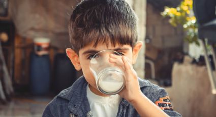 ¿Cuál leche es más saludable tomar? Estudio de OCU lo revela