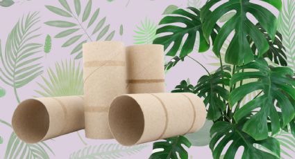 Te sorprenderá este nuevo uso de los rollos de papel higiénico en tu jardín y huerto