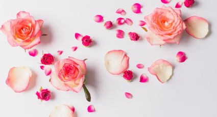 Endulza tus bebidas refrescantes y postres con esta aromática azúcar de pétalos de rosa