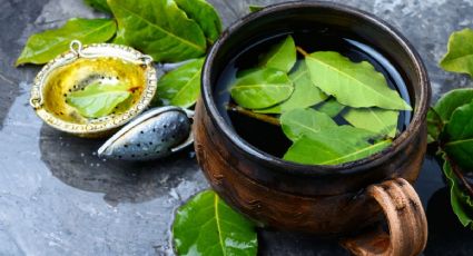 Esta es la planta aromática que deber colocar en el baño para atraer la buena suerte