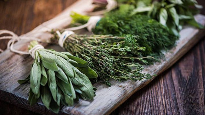 Descubre el mejor trucazo de cocina para conservar epazote, cilantro y otras hierbas por más tiempo