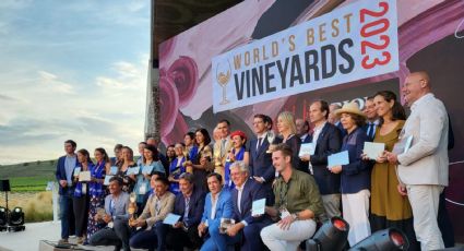 Rioja: Espejo del Vino Global en The World's Best Vineyards