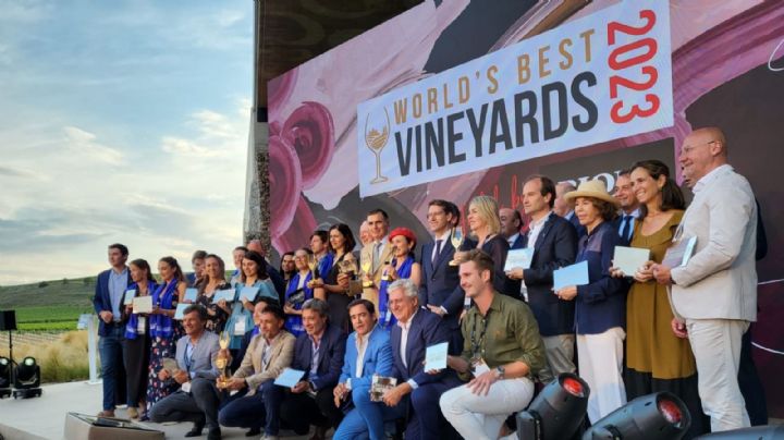 Rioja: Espejo del Vino Global en The World's Best Vineyards