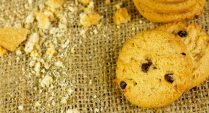 La OCU alerta de unas galletas contaminadas que debes TIRAR si las tienes en casa