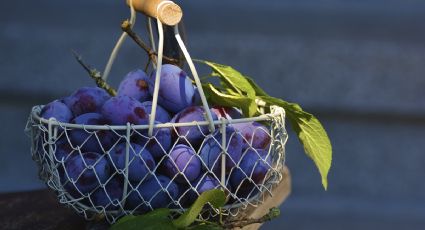 Uvas Cotton Candy: La fruta con sabor a algodón de azúcar que puedes encontrar en España