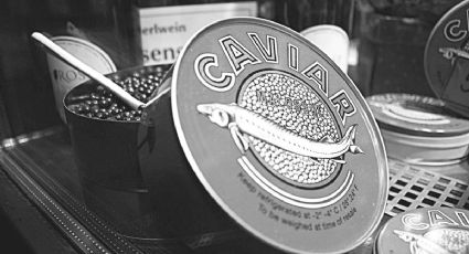 Día Mundial del Caviar: Esto es todo lo que debes conocer sobre este lujoso alimento