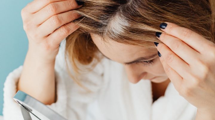 ¿Qué hace la magnolia en el cabello? Así puedes usar esta planta para disimular las canas