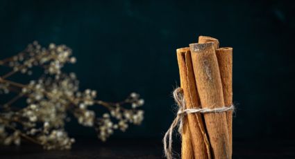 Atrae dinero, fortuna y éxito con este ritual de canela con 1 planta aromática