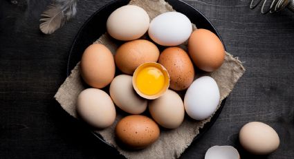Clara vs Yema: ¿Qué parte del huevo es MÁS saludable y qué pasa si lo consumes todos los días?