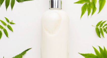 Prepara este champú casero de jengibre para conseguir un pelo largo y sano en 1 mes