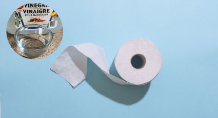 El truco casero de añadir vinagre al papel higiénico que todos están haciendo en España