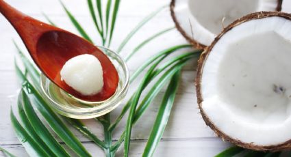 3 formas de consumir aceite de coco para bajar de peso