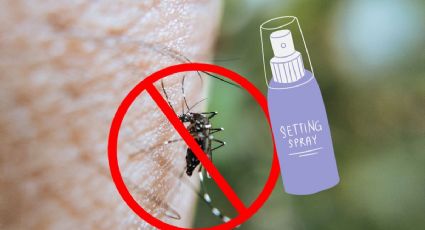 Remedios naturales: Prepara un repelente de mosquitos casero con aceites esenciales