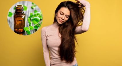 Añade este aceite esencial a tu champú y haz crecer tu pelo de forma rápida y natural