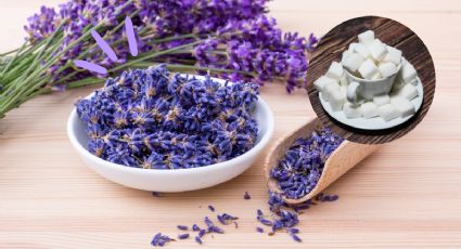 Prepara tu azúcar de lavanda, una receta fácil que podrás usar en todo momento