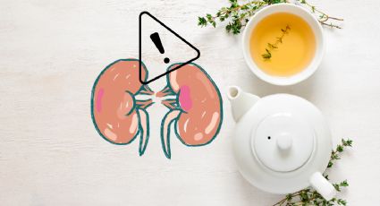 ¿Cuáles son las infusiones que pueden dañar el riñon?