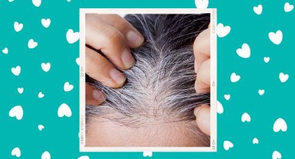 Conoce el truco de belleza para oscurecer las canas de la raíz fácilmente