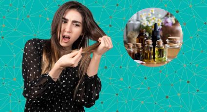 Conoce los mejores 3 aceites esenciales para recuperar el cabello maltratado en pelo graso