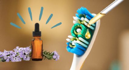 ¿Cómo limpiar nuestro cepillo dental con aceites esenciales?