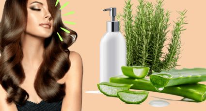 Recupera tu cabello sedoso con un champú hidratante casero