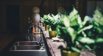 ¿Cómo eliminar el mal olor del fregadero? Hazlo con este truco