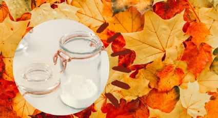 Recolecta hojas en el otoño para decorar jarrones de cristal