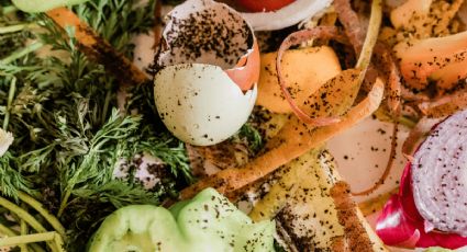 Esta es la multa que los restaurantes podrían pagar si tiran comida a la basura