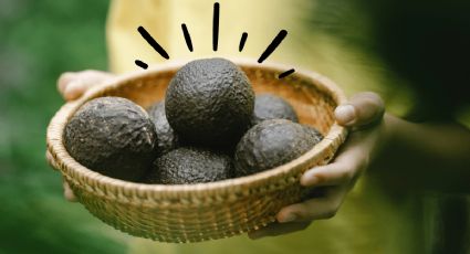 ¿Qué es lo que pasa si desayunas aguacate todos los días? Esto dice la ciencia